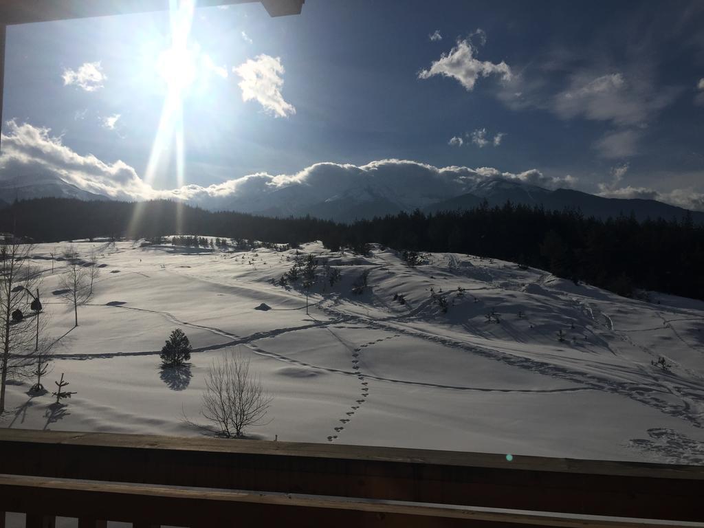 Pm Mountain View Fireside Retreat Bansko Apartment ภายนอก รูปภาพ